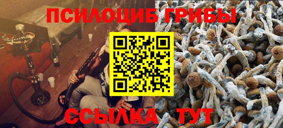Псилоцибиновые грибы GOLDEN TEACHER Знаменск