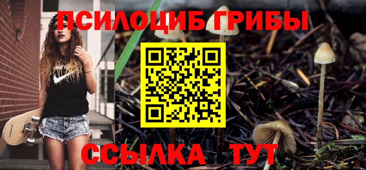 Галлюциногенные грибы Magic Shrooms  Вход с VPN  Псилоцибиновые грибы Cubensis  Знаменск 